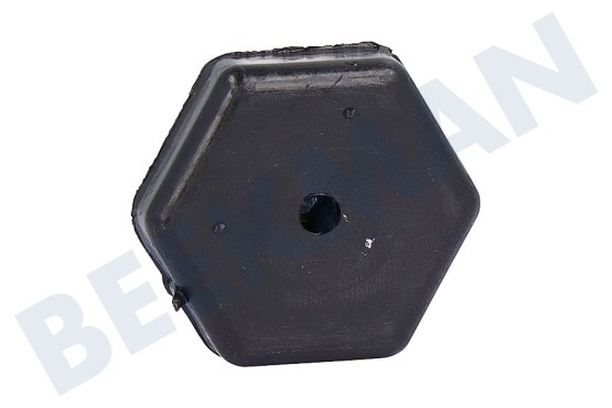Bauknecht Vaatwasser C00326371 Stelpoot