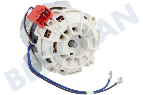 Juno-electrolux Spülmaschine Pumpe Umwälzpumpe Nidec