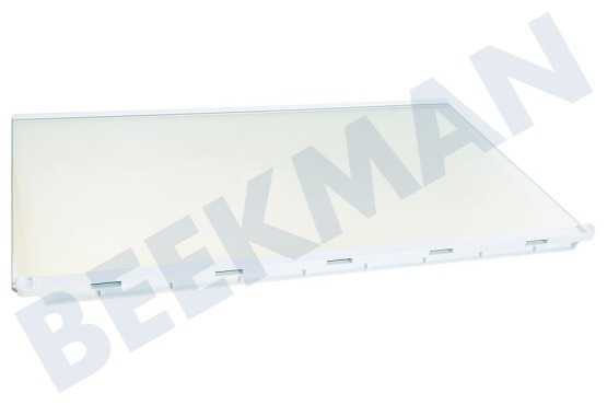 Neue Koelkast Glasplaat 458,5 x 286 mm.