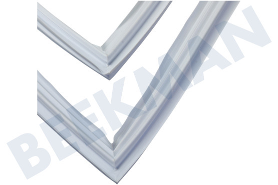 Scholtes Koelkast 117019, C00117019 Afdichtingsrubber Koelgedeelte, Wit