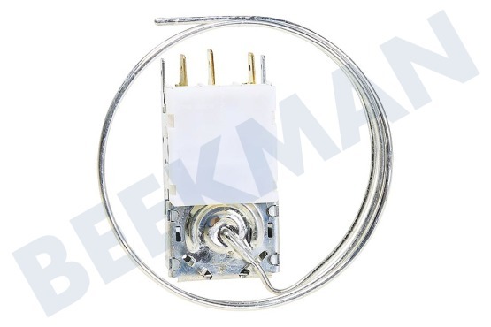 Etna Koelkast Thermostaat A13 0447R D415