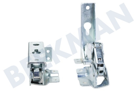 Atag-pelgrim Koelkast C00636779 Set scharnieren