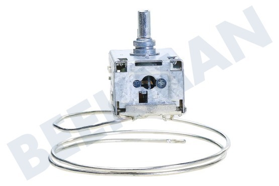 Firenzi Koelkast Thermostaat A13 0092K C046 Ranco
