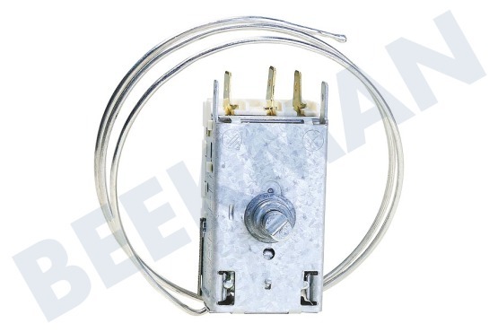 Firenzi Koelkast Thermostaat A13 0092K C046 Ranco