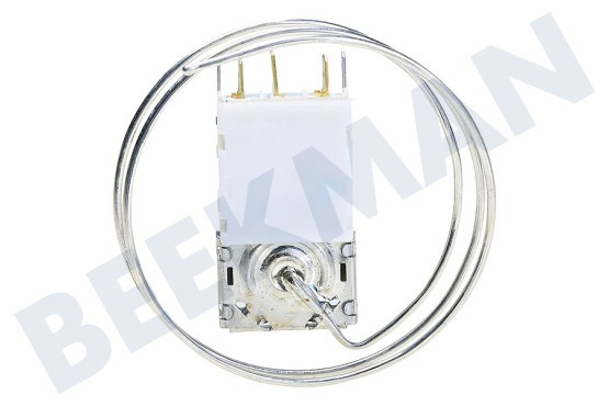 Firenzi Koelkast Thermostaat A13 0092K C046 Ranco