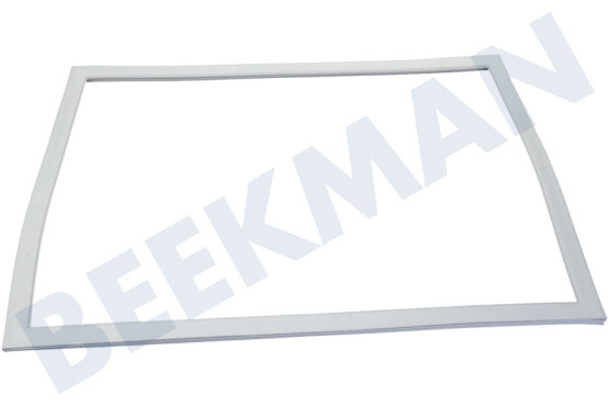 Samsung Koelkast DA97-19053G Afdichtingsrubber Vriesgedeelte