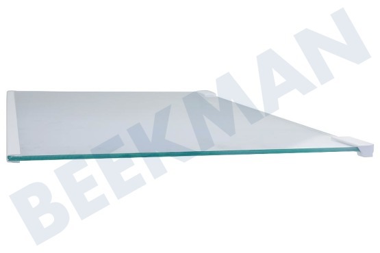 Electrolux Koelkast 2109403036 Glasplaat Compleet