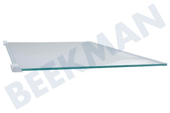 Electrolux Koelkast 2109403036 Glasplaat Compleet