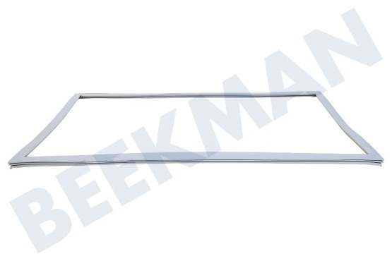 LG Koelkast ADX73591401 Deurrubber Koelkast