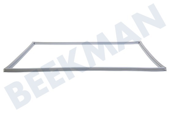 LG Koelkast ADX73591401 Deurrubber Koelkast