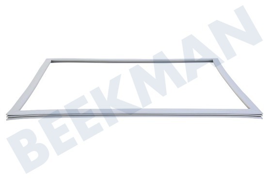 LG Koelkast ADX73590902 Deurrubber Koelkast