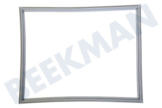 LG Koelkast ADX73590902 Deurrubber Koelkast