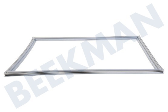 LG Koelkast ADX73590902 Deurrubber Koelkast