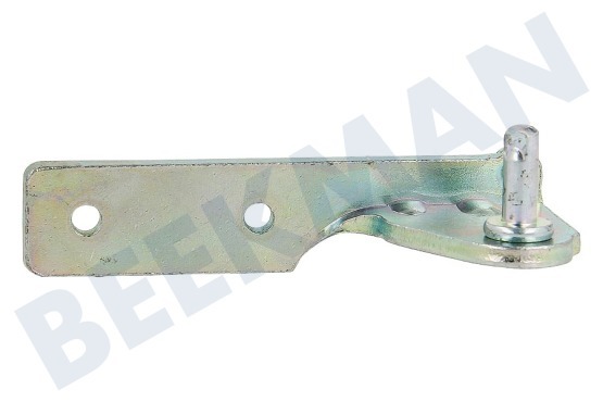 Haier Koelkast 0060109527 Scharnier midden