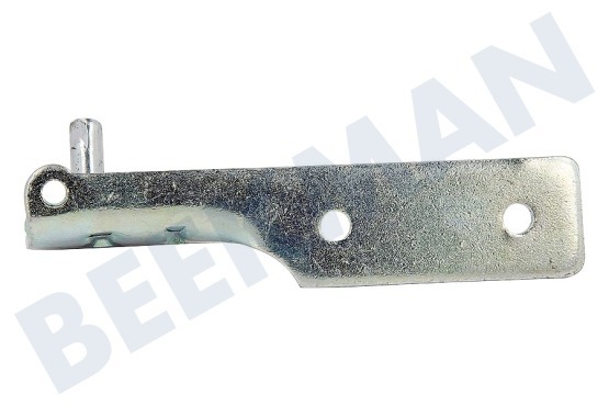 Haier Koelkast 0060109527 Scharnier midden