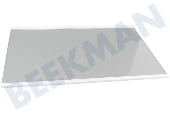 Hisense Koelkast Glasplaat Legplateau