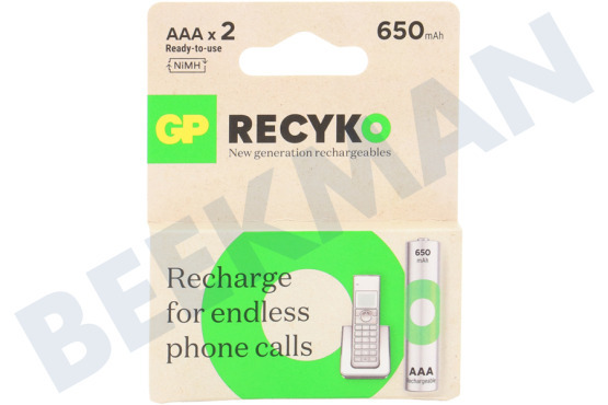 GP  LR03 ReCyko+ AAA 650 - 2 oplaadbare batterijen