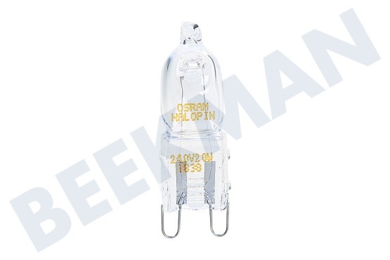 Osram Halogeenlamp Halogeen steek lamp