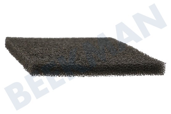 AEG Stofzuiger AEF03 Motorfilter