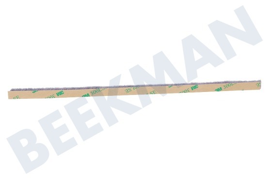 Electrolux Stofzuiger Strip van Zuigmond