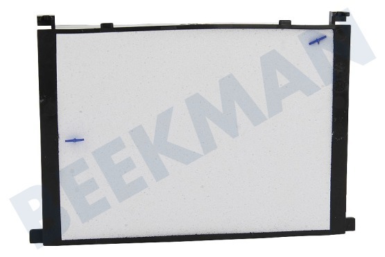 Bosch Stofzuiger 17002210 Motorfilter