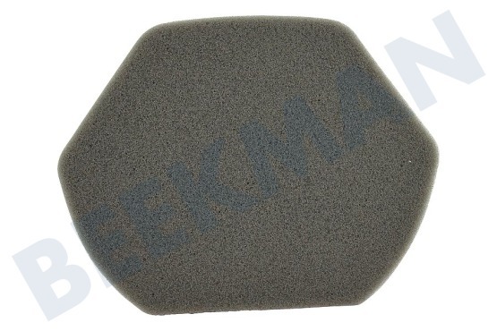 Bosch Stofzuiger 12012937 Schuimfilter