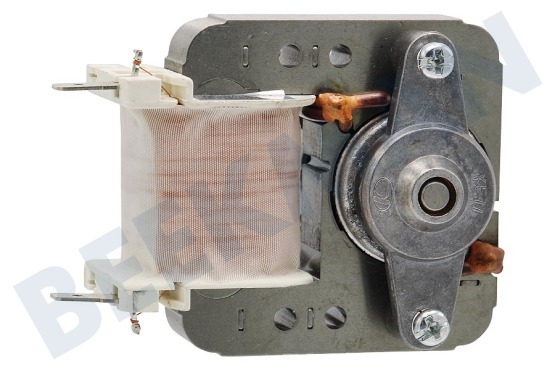 Progress Oven-Magnetron 5550271000 Motor