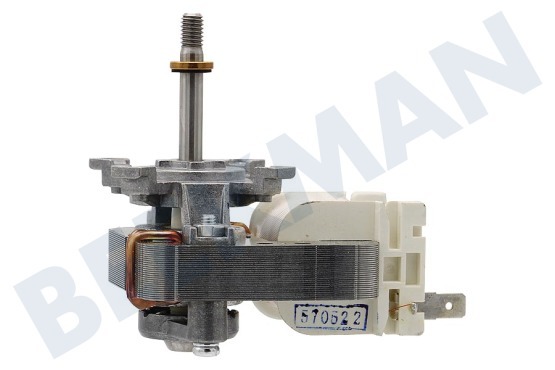 Progress Oven-Magnetron 5550271000 Motor