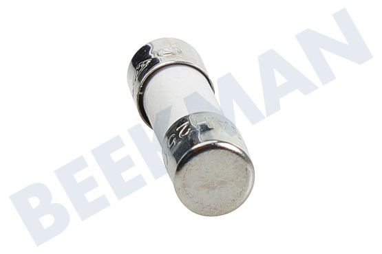 Aeg electrolux Oven-Magnetron Zekering 8 Ampere
