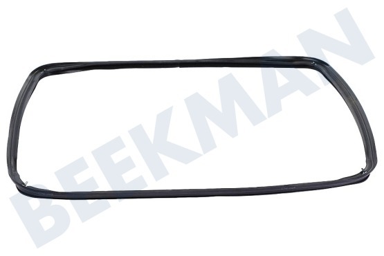 Hotpoint Oven-Magnetron 111687, C00111687 Afdichting Van deur