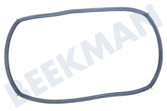 Neff Oven-Magnetron 496368, 00496368 Deurband