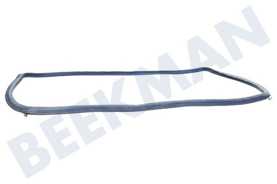 Neff Oven-Magnetron 496368, 00496368 Deurband