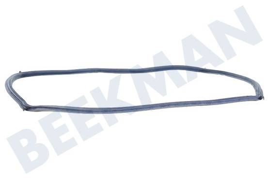 Neff Oven-Magnetron 496368, 00496368 Deurband