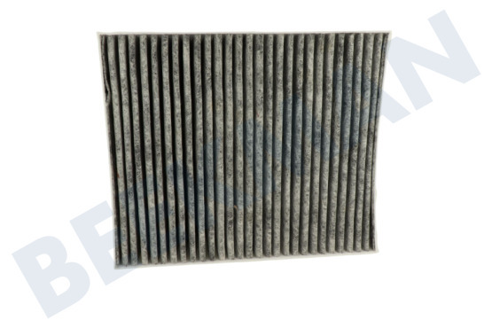 Siemens Afzuigkap Filter Koolstof