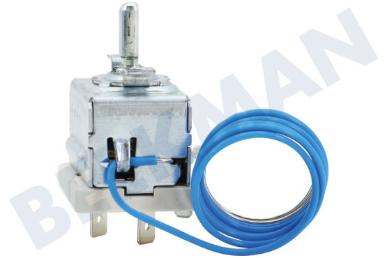 Blaupunkt Oven-Magnetron 12041790 Thermostaat Penvoeler