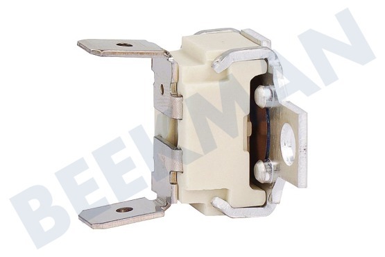 Bosch Oven-Magnetron 10004817 Thermostaat