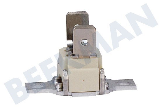 Bosch Oven-Magnetron 10004817 Thermostaat