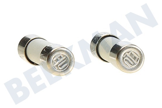 Electrolux Oven-Magnetron 29469, 00029469 Zekering 10A 250V