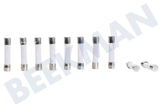 Electrolux Ofen-Mikrowelle 00152386 Sicherung Keramik 6x32, 10 Ampere Flink