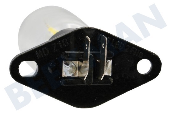 Bosch Oven-Magnetron 10011653 Lamp 25W -met bev. plaat-
