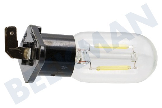 Bosch Oven-Magnetron 10011653 Lamp 25W -met bev. plaat-
