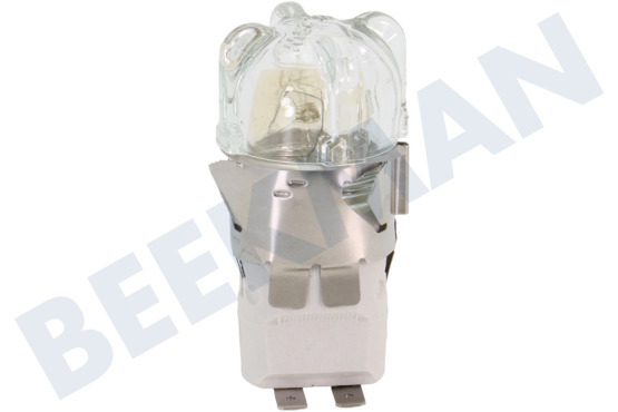 Beltratto Oven-Magnetron Lamp