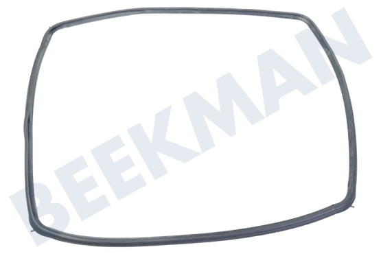 Etna Oven-Magnetron Deurrubber