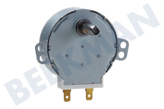 Etna Oven-Magnetron Motor Van draaiplateau 4W