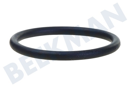 Krups Koffiezetapparaat MS-0698568 Afdichting van drukcilinder voor koffiemachines