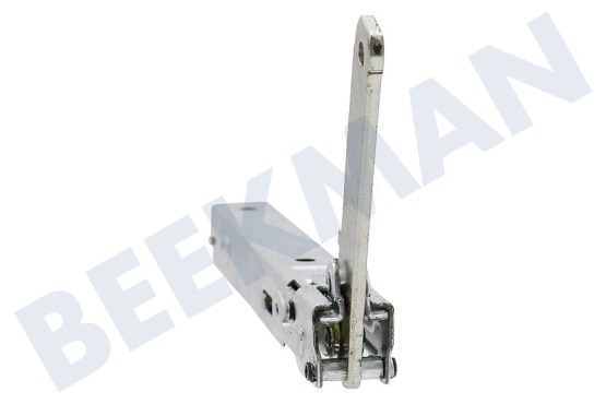 Cylinda Oven-Magnetron Scharnier