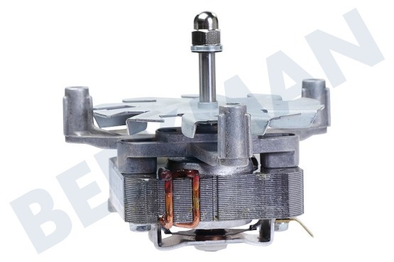 Pelgrim Oven-Magnetron Motor Incl. ventilator