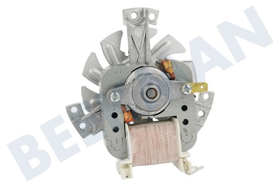 Pelgrim Oven-Magnetron Motor Van ventilator, hete lucht