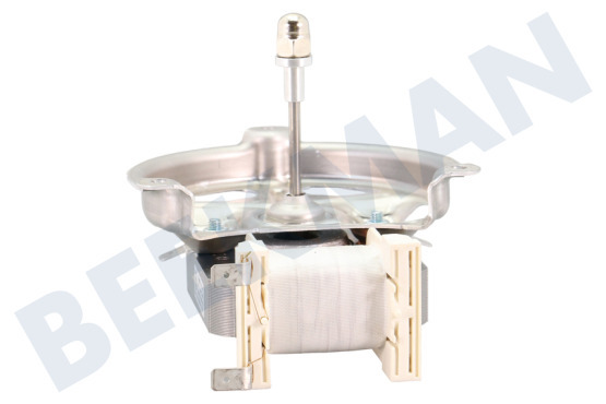 Pelgrim Oven-Magnetron Motor Van ventilator, hete lucht