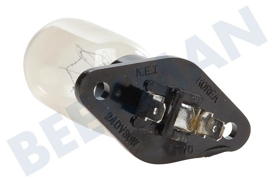 Whirlpool Oven-Magnetron Lamp Van magnetron 30W 240V